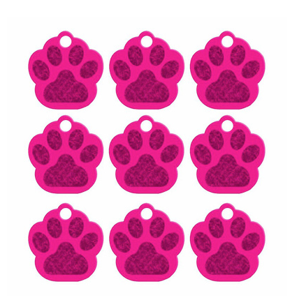 Paw Name Tag