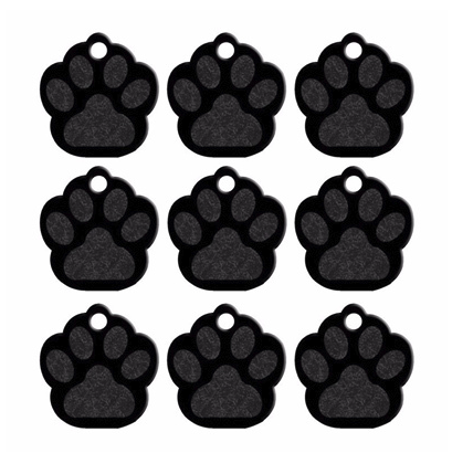 Paw Name Tag