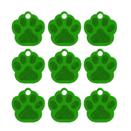 Paw Name Tag