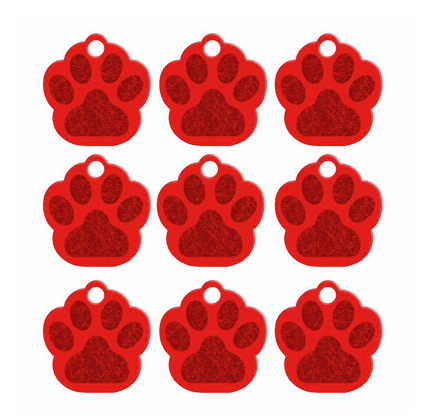 Paw Name Tag