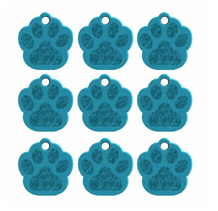 Paw Name Tag